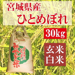 ЂƂ߂ڂ@ā@ߘa7NYy30kgzV  Ė@{錧Y   ͂ ā@ЂƂ߂ڂ100%