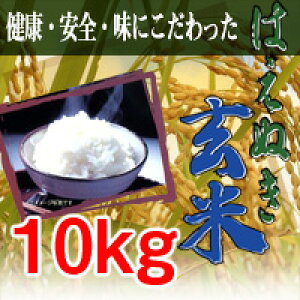 はえぬき 玄米 【10kg】 令和7年産 新米 お米 精米無料 山形県産 米 こめ ごはん 白米