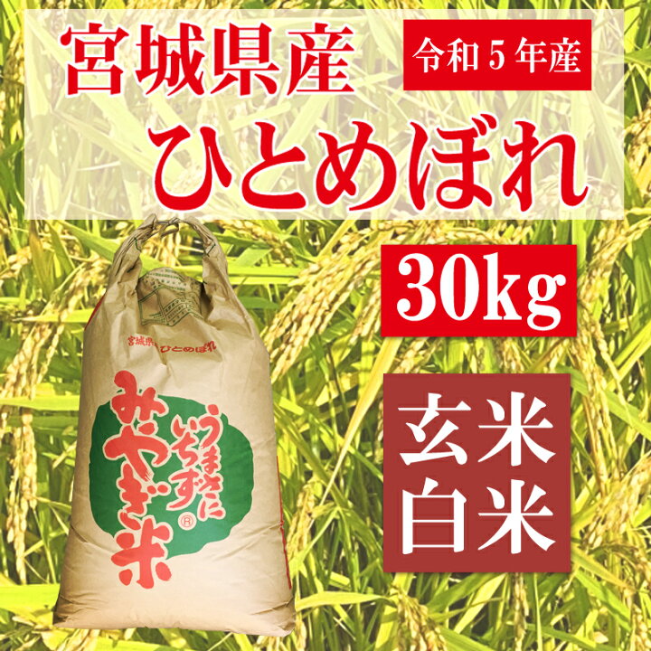 令和5年ひとめぼれ 米 30kg 宮城県産 