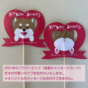 カーネーション<5号鉢>【2021母の日】【芝犬母の日カード付】【カーネーション鉢植え】【カーネーション母の日】【カーネーション5号鉢母の日ギフト】【沖縄・離島はお届けできません】