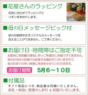 カーネーション<5号鉢><4色よりお選びください>【2018母の日】【地域別正直送料】【カーネーション5号鉢母の日ギフト】【沖縄・離島はお届けできません】【カーネーション鉢植え】【カーネーション母の日】