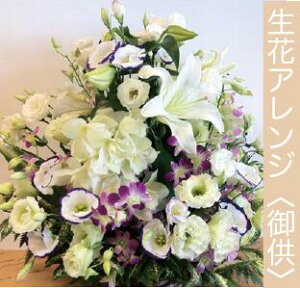 ԃAWgyzykCEEBElEENGzyiۏ؁ԁzyŒZzy z