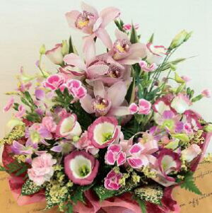 ԃAWgw]̐FEC[Wŉԉ̎B摜zMEbZ[WJ[hOK xyŒZzyzykCEEBElEENGz