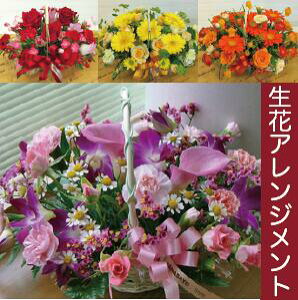 ԃAWgw]̐FEC[Wŉԉ̎B摜zMEbZ[WJ[hOK xyŒZzyzykCEEBElEENGz