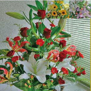 ԃAWgw]̐FEC[Wŉԉ̎B摜zMEbZ[WJ[hOK xyŒZzyzykCEEBElEENGz