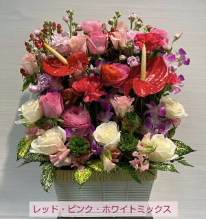 壁面スクエア−スタイル★生花アレンジメント【2020母の日】【送料無料】【ギフト】【沖縄・離島はお届けできません】