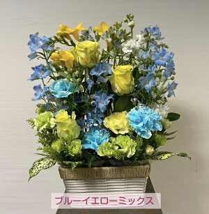 壁面スクエア−スタイル★生花アレンジメント【父の日ギフト】【送料無料】【花ギフト】【生花アレンジメント】【沖縄・離島はお届けできません】
