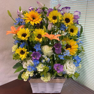 ǖʃXNGA|X^CԃAWg@45cm@35cmyŒZzyzyԁ@MtgzyԃAWgzykCEEBElEENGz