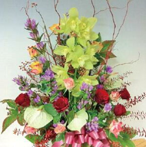 ԃAWgw]̐FEC[Wŉԉ̎B摜zMEbZ[WJ[hOK xyŒZzyzykCEEBElEENGz