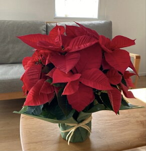 |CZ`AE5Ẽv~Ai45Z`EbsOtyzykCEnElEBEE͂͂ł܂zy|CZ`A zy|CZ