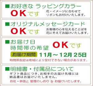 ポインセチア・ビジョン・オブ・グランデール05P01Nov14