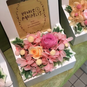 【送料無料】ぽれぽれ動物のプリフラ
