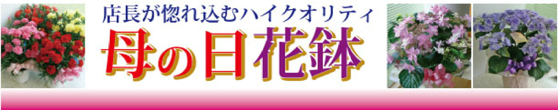 母の日特集