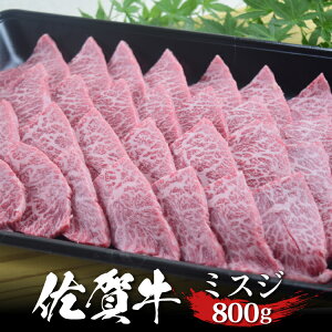 ꋍ ~XW ē 800g nSC^ {O A4 A5  n јa 󏭕 a Y Y Mtg hV hV̓ j j j Ԃ  v[g p ̂Ή  ~