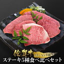 【楽天限定】佐賀牛 ステーキ5種食べ比べセット 100g×5 A4 A5 送料無料 ※冷凍発送 ステーキ肉 熟成 黒毛和牛 和牛 …