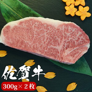 ꋍ T[C Xe[L 300g×2 A4 A5  Xe[L n јa a Y Y Mtg hV hV̓ j j j Ԃ  v[g p ̂Ή  ~ 