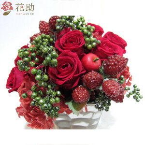 wnz bZ[WJ[ht 摜 vU[uht[16000~ JXj a j \ SzB