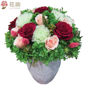 wnz bZ[WJ[ht 摜 vU[uht[@18000~ JXj a j \ SzB