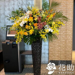 yEn͂zJXj ԏIԉ̂jt[X^h1i 40000~  tX^ IׂԐF25FI Dt 摜 ݒuE yΉzD J