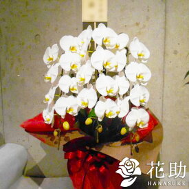 楽天市場 鉢物 ラッピング 方法の通販