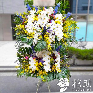 yEn͂zz Dt 摜  t[RVFWIԉ̂jX^hԁ@2i@100000~Ή D JXj j Vz j