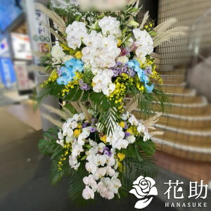 yEn͂zz Dt 摜 t[RVFWIԉ̂jX^hԁ@ 2i@90000~ Ή D JXj J@j j 