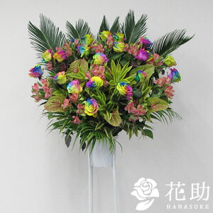 yEn͂zz Dt 摜  t[RVFWIԉ̃C{[[YX^h 1i@30000~ D JXj J@j 