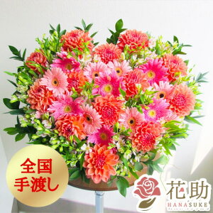 yEn͂zz D܂̓J[ht 摜 t[RVFWIԉ̂jn[g^AWgԁ@15000~ D JXj a j