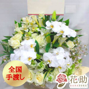 yEn͂zz D܂̓J[ht 摜 t[RVFWIԉ̔oAWgԁ@15000~ D JXj a j 