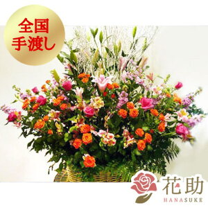 yEn͂za v[g j  ԏIԉ̂jAWg 35000~ t[Mtg IׂԐF25FI D܂̓J[ht 摜 Ή J