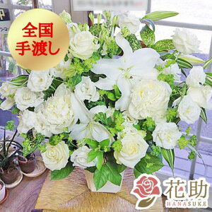 yEn͂zz D܂̓J[ht 摜 t[RVFWIԉ̃AWg 15000~ D JXj a j \