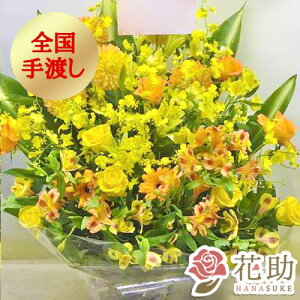 yEn͂zz D܂̓J[ht 摜 t[RVFWIԉ̉FoAWgԁ@15000~ D JXj a j 