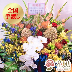 yEn͂zJXj a j t[RVFWIԉ̌ӒAWgԁ@20000~@ D j \ z Dt 摜