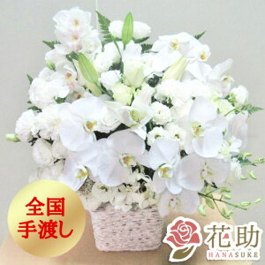 yEn͂zJXj a j t[RVFWIԉ̌ӒAWgԁ@15000~@ D j \ z Dt 摜