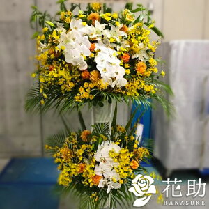 yEn͂zz Dt 摜  t[RVFWIԉ̌ӒX^h2i@50000~ D JXj J@j j \ 