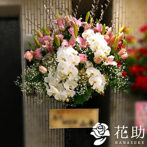 yEn͂zz Dt 摜  t[RVFWIԉ̌ӒX^h1i@30000~ D JXj J@j j \ 