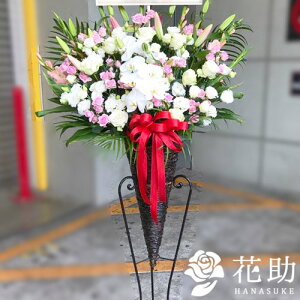 yEn͂zz Dt 摜  t[RVFWIԉ̌ӒX^h1i@23000~ D JXj J@j j \ 