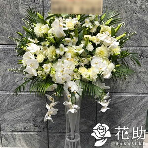 yEn͂zz Dt 摜  t[RVFWIԉ̌ӒX^h1i@40000~ D JXj J@j j \ 