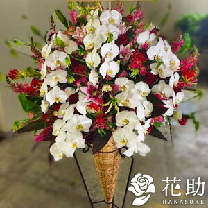 yEn͂zz Dt 摜  t[RVFWIԉ̌ӒX^h1i@50000~@D JXj J@j j \