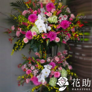 yEn͂zz Dt 摜  t[RVFWIԉ̌ӒX^h2i@45000~ D JXj J@j j \ 