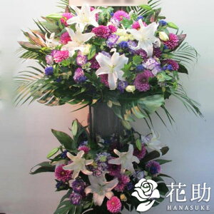 yEn͂zz Dt 摜  t[RVFWIԉ̃X^h2i@30000~ D JXj J@j j \ S