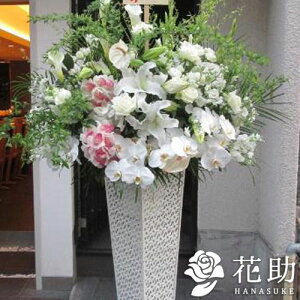 yEn͂zz Dt 摜  t[RVFWIԉ̃X^h1i@28000~ D JXj J@j j \ S