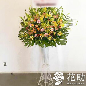 生花 モンステラの人気商品 通販 価格比較 価格 Com 生花 モンステラの人気商品 通販 価格比較 価格 Com