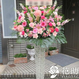 楽天市場 花屋 モンステラの通販