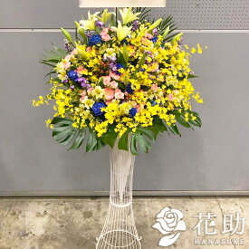 楽天市場 花屋 モンステラの通販