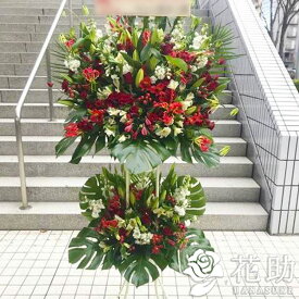 楽天市場 花屋 モンステラの通販