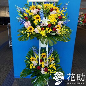 楽天市場 花屋 モンステラの通販