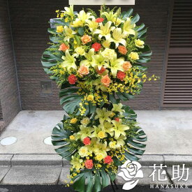 楽天市場 花屋 モンステラの通販