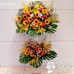 生花 モンステラの人気商品 通販 価格比較 価格 Com