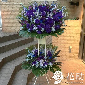 楽天市場 花屋 モンステラの通販